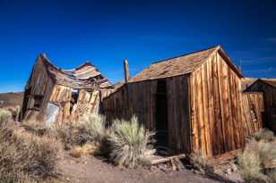 Bodie-0046.jpg