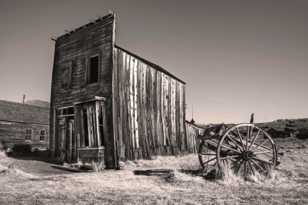 Bodie-0060.jpg