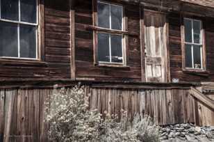 Bodie-8810