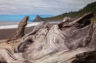 Driftwood-3151.jpg Driftwood-3151.jpg