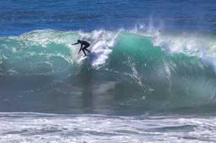 Surfer-0561 Surfer-0561