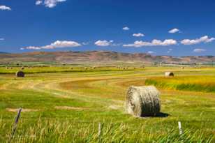 Farmscape-7775.jpg Farmscape-7775.jpg