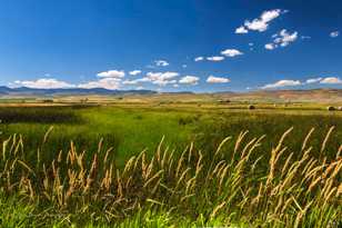 Farmscape-7777.jpg Farmscape-7777.jpg