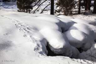 Tracks-4619.jpg Tracks-4619.jpg