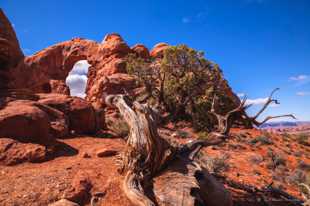 Arches-9772.jpg Arches-9772.jpg
