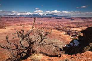Canyonlands-9838.jpg Canyonlands-9838.jpg
