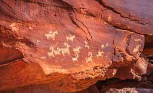 Petroglyphs-9767.jpg Petroglyphs-9767.jpg