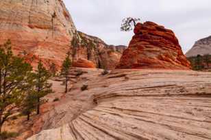 Zion-0002.jpg Zion-0002.jpg