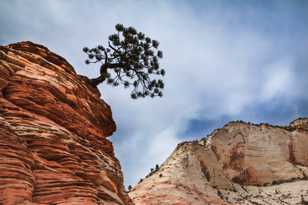 Zion-0015.jpg Zion-0015.jpg