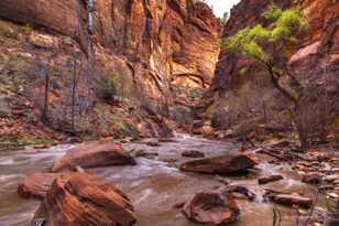 Zion-0092.jpg Zion-0092.jpg