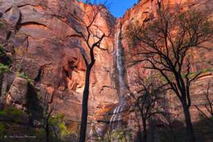 Zion-0097.jpg Zion-0097.jpg