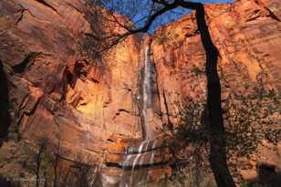 Zion-0099.jpg Zion-0099.jpg
