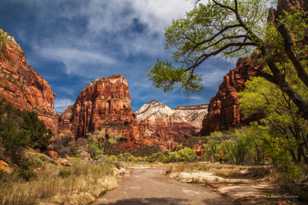 Zion-0109.jpg Zion-0109.jpg