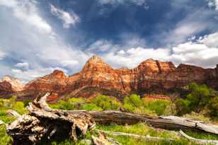 Zion-0125.jpg Zion-0125.jpg