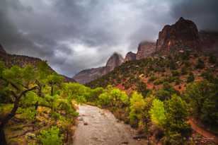 Zion-0289.jpg Zion-0289.jpg