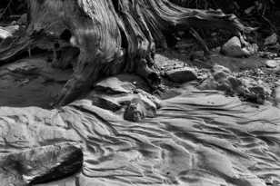 Zion-9974.jpg Zion-9974.jpg
